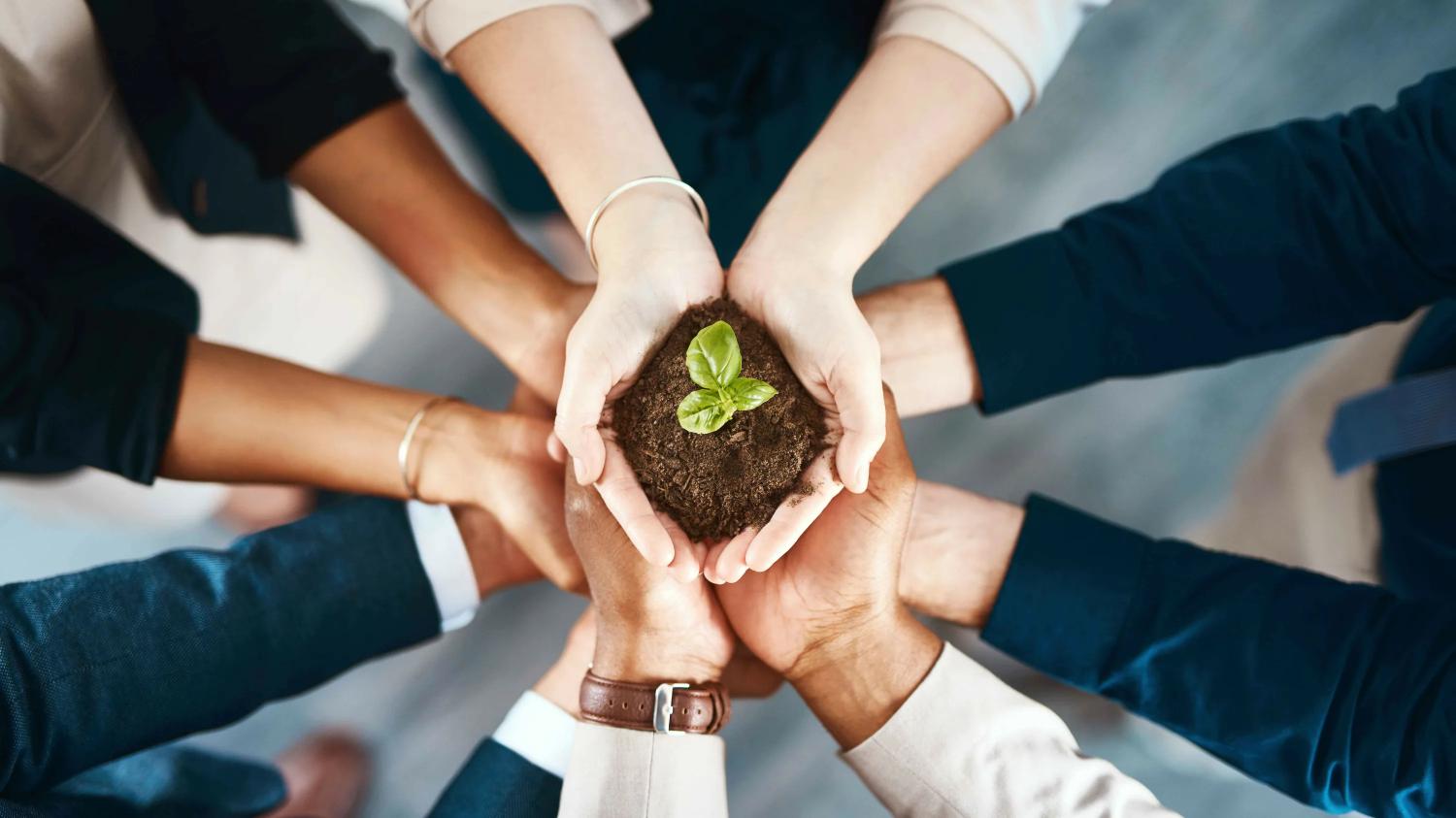 Экологическая ответственность